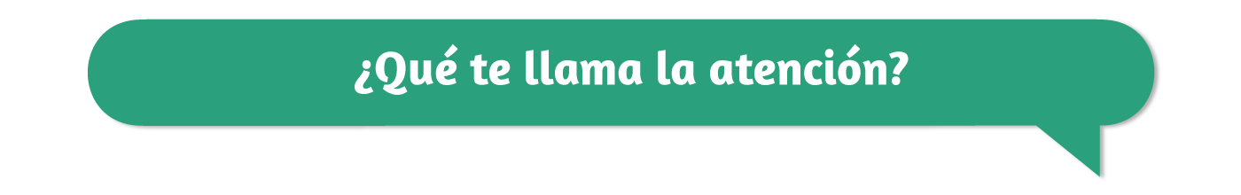 Bcpv_2