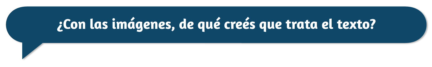 bbj_plact_5-movil