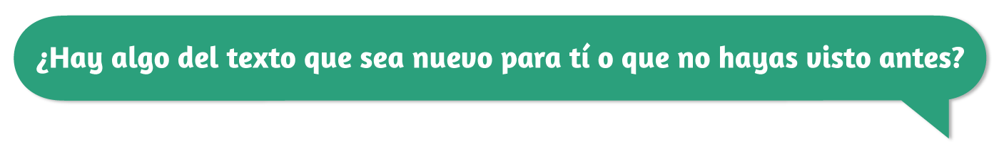 bbj_plact_7-movil